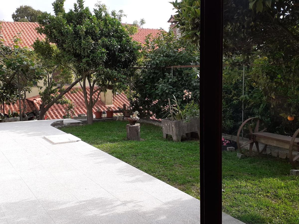 Casa De Santa Luzia A Apartman Vila Praia de Âncora Kültér fotó