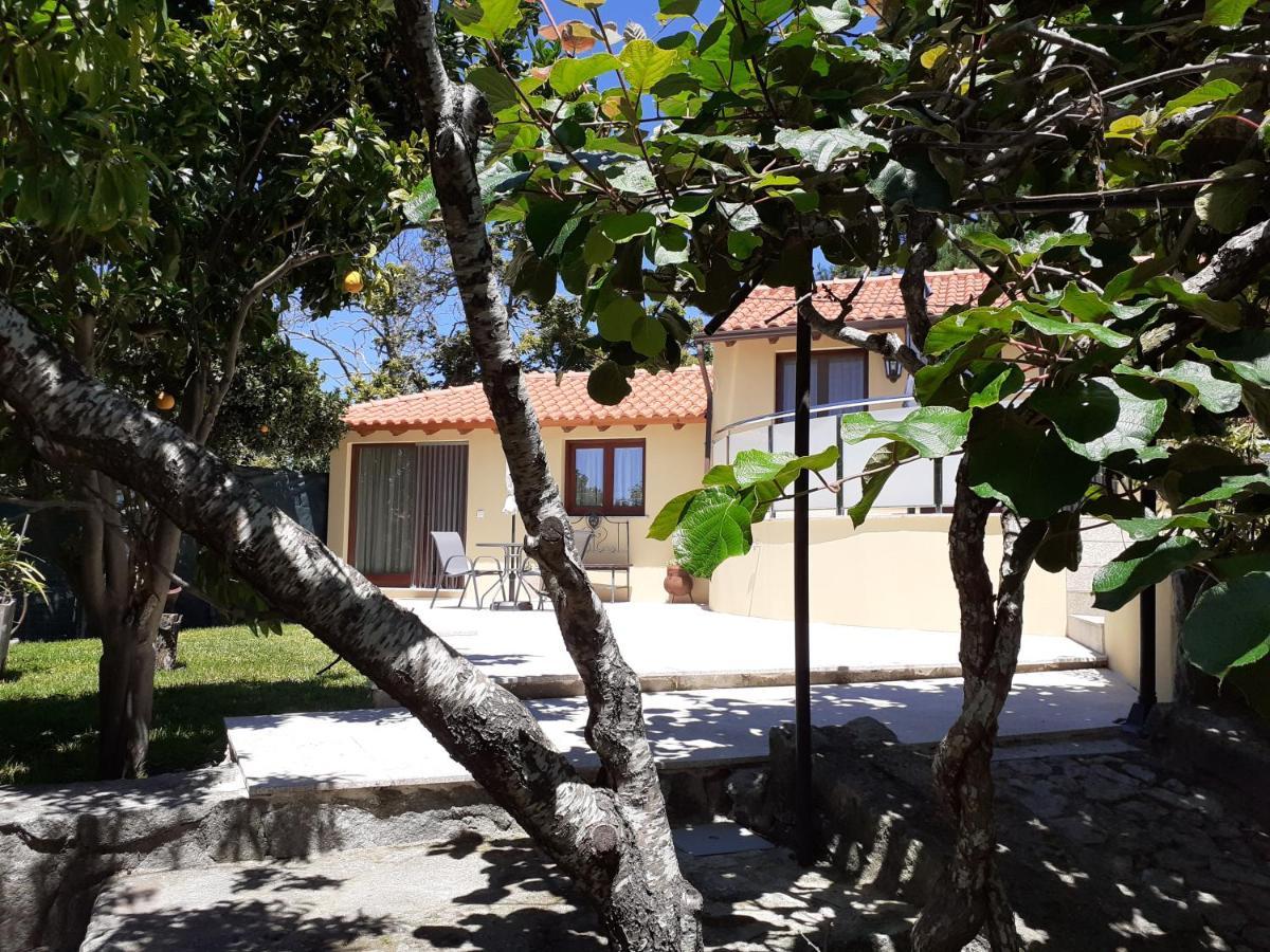 Casa De Santa Luzia A Apartman Vila Praia de Âncora Kültér fotó