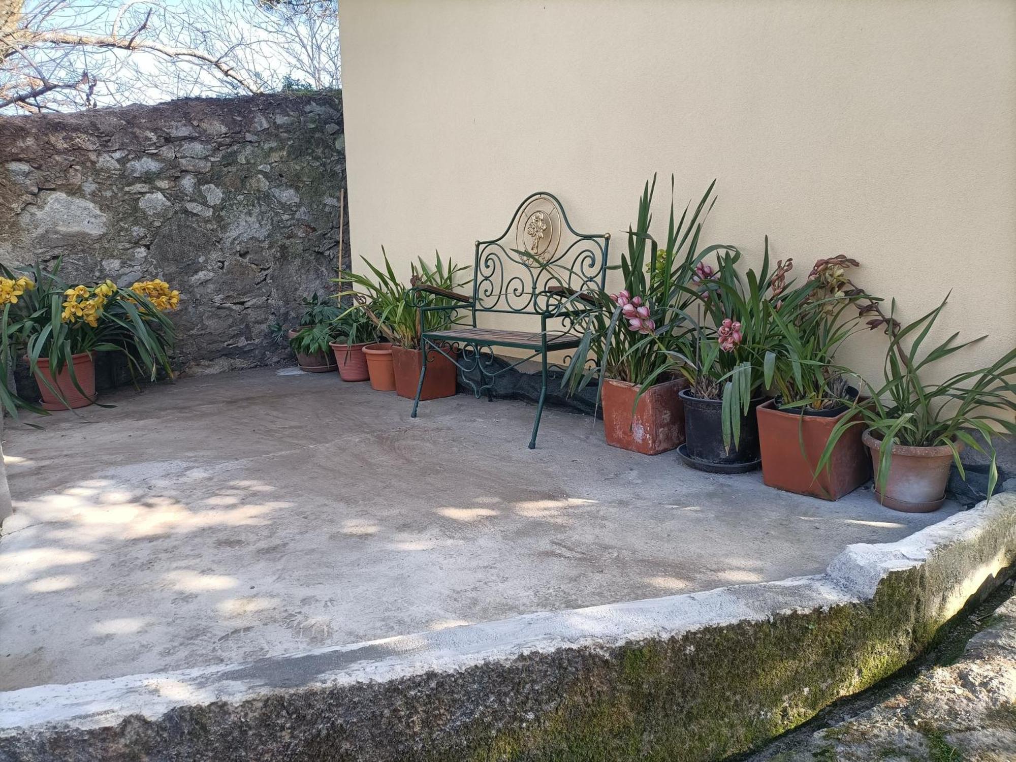 Casa De Santa Luzia A Apartman Vila Praia de Âncora Kültér fotó
