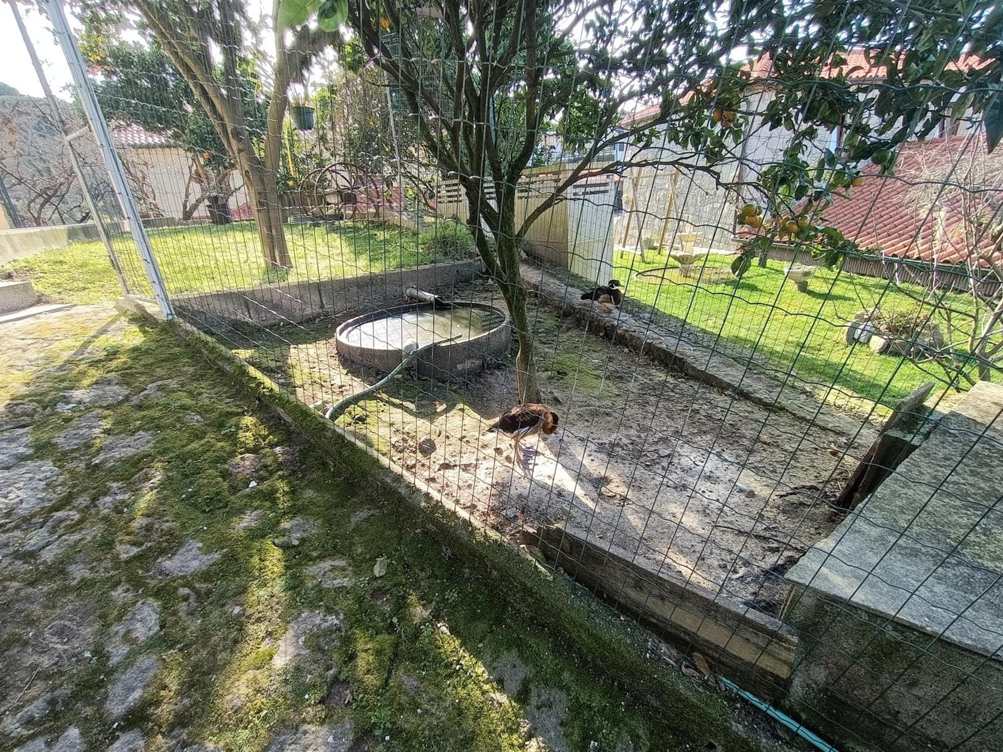 Casa De Santa Luzia A Apartman Vila Praia de Âncora Kültér fotó